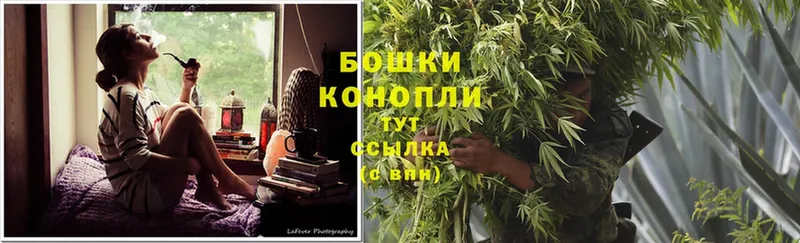 Шишки марихуана Bruce Banner  продажа наркотиков  Новочебоксарск 